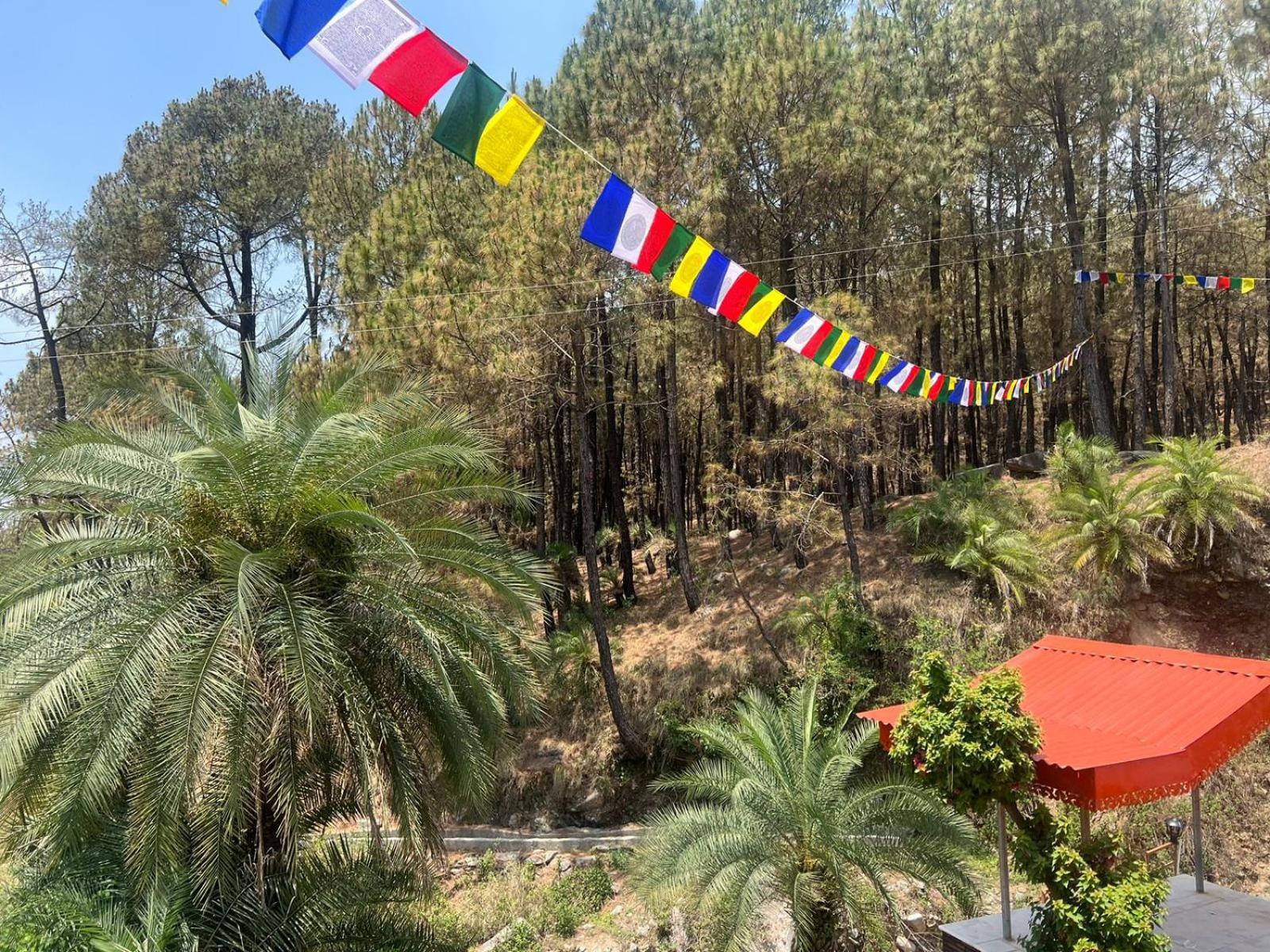 Tathastu Bir -Homestay ,Dorm,Hostel Exteriér fotografie