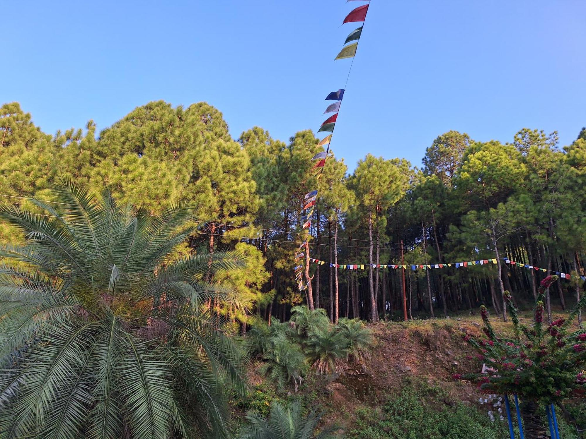 Tathastu Bir -Homestay ,Dorm,Hostel Exteriér fotografie