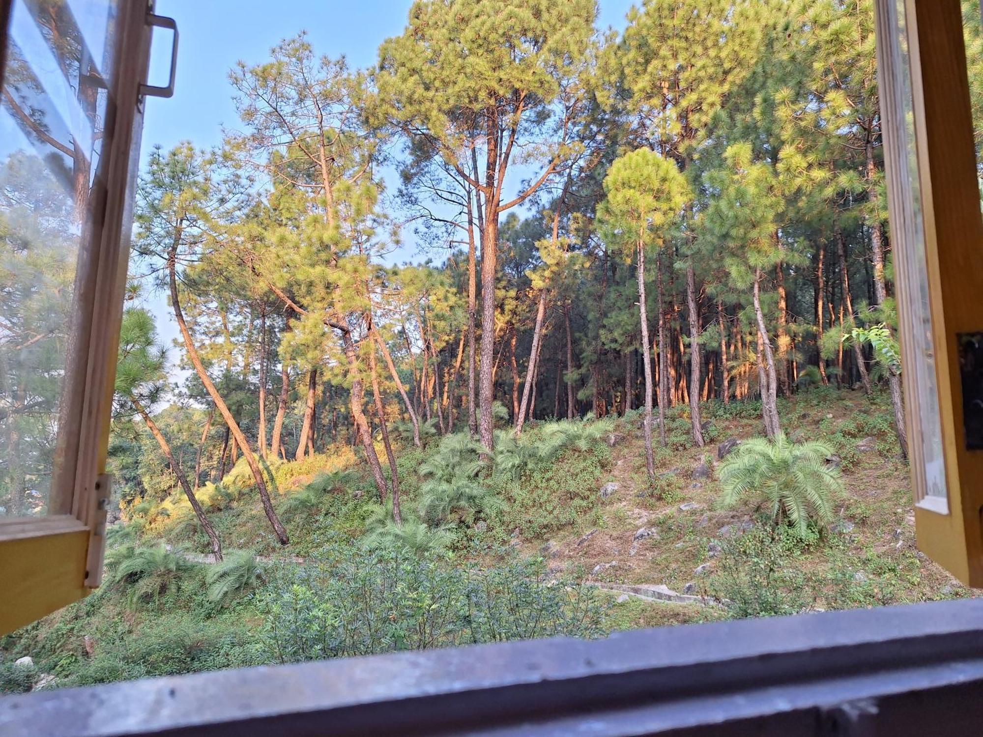 Tathastu Bir -Homestay ,Dorm,Hostel Exteriér fotografie