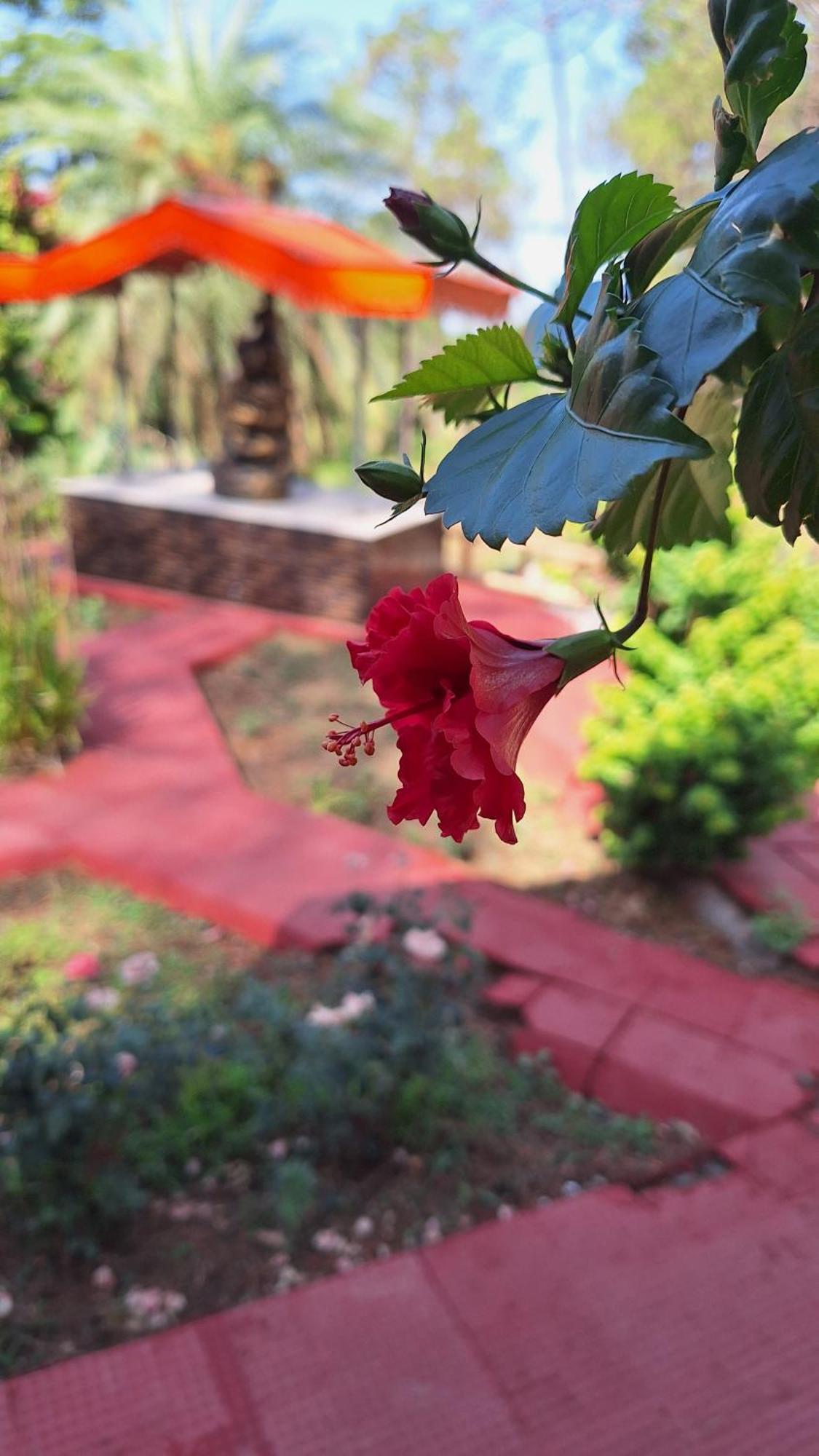 Tathastu Bir -Homestay ,Dorm,Hostel Exteriér fotografie
