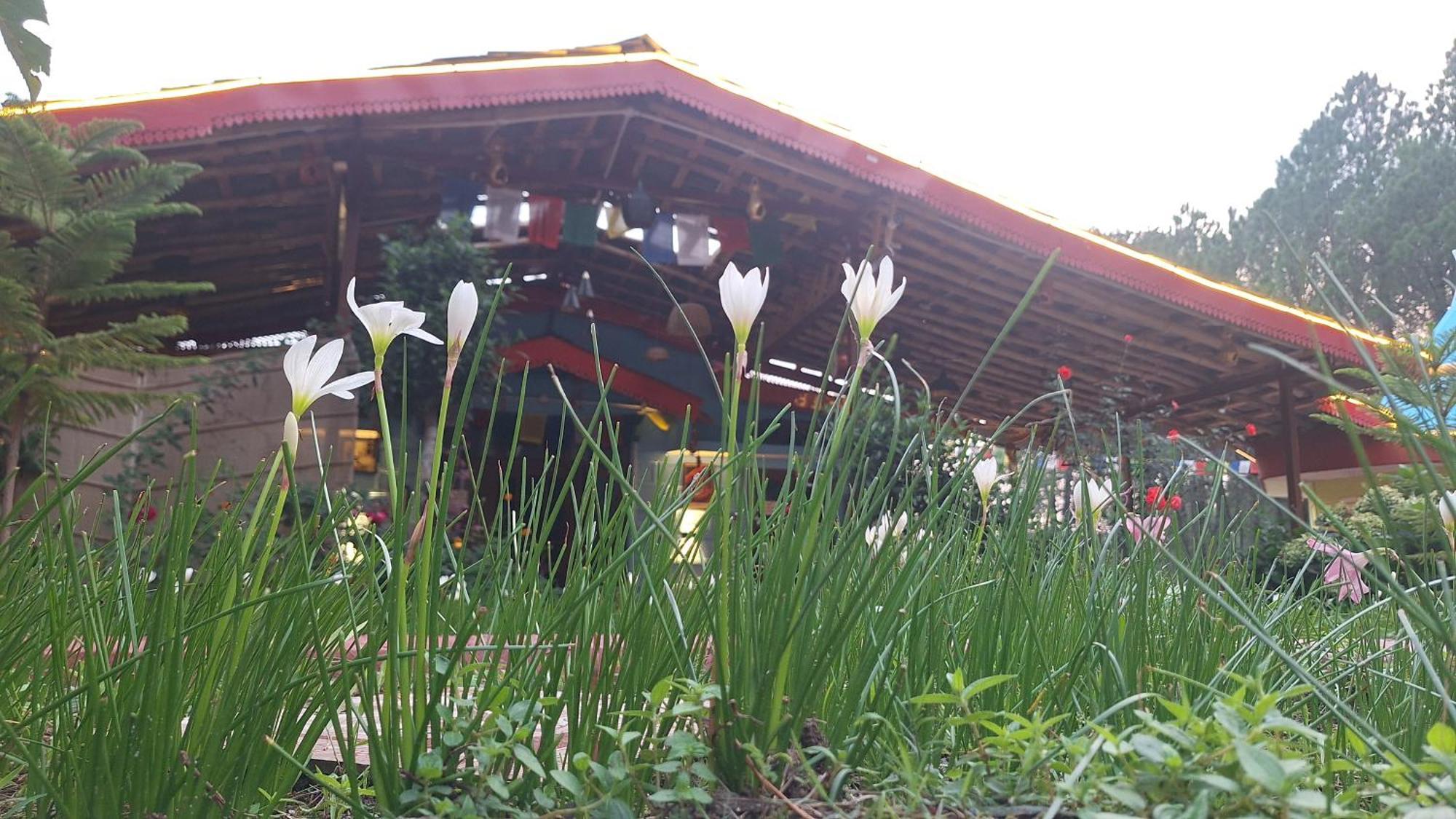 Tathastu Bir -Homestay ,Dorm,Hostel Exteriér fotografie