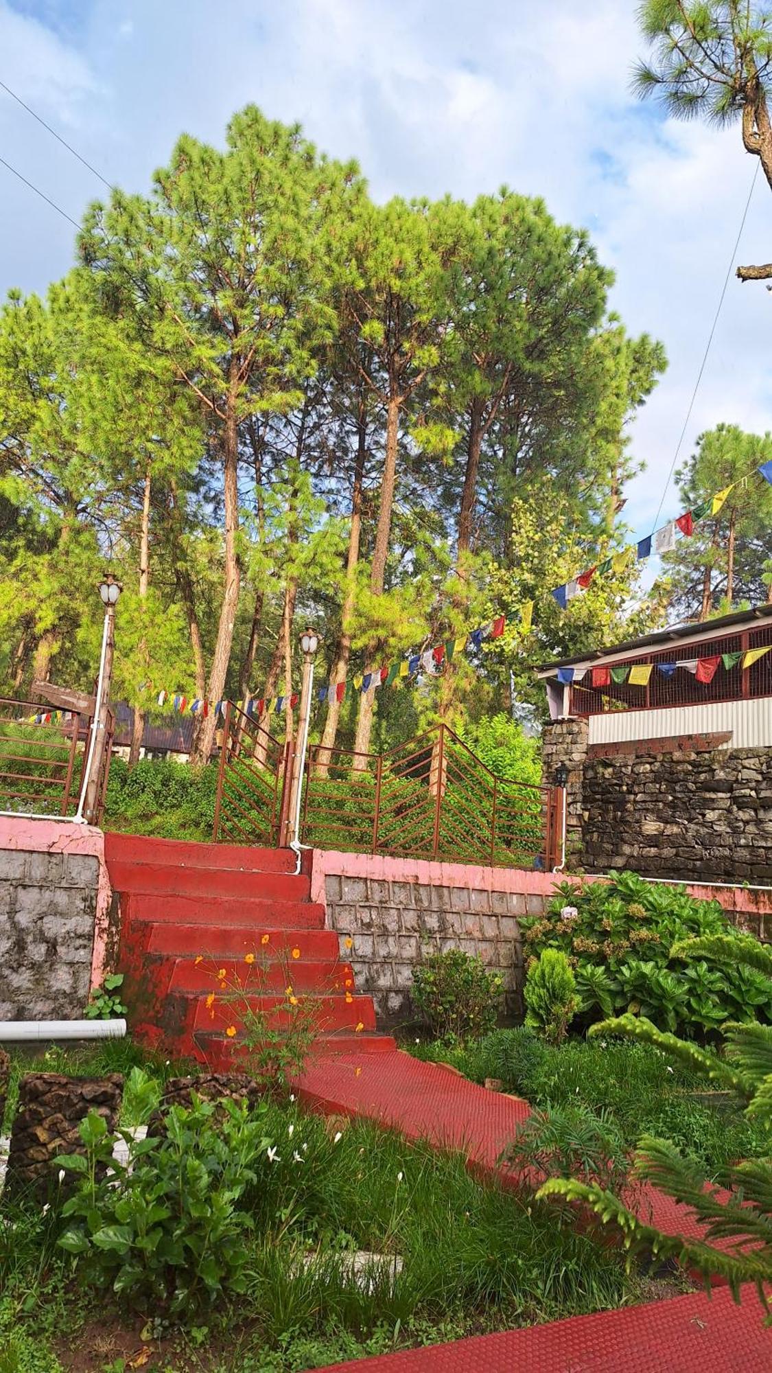 Tathastu Bir -Homestay ,Dorm,Hostel Exteriér fotografie