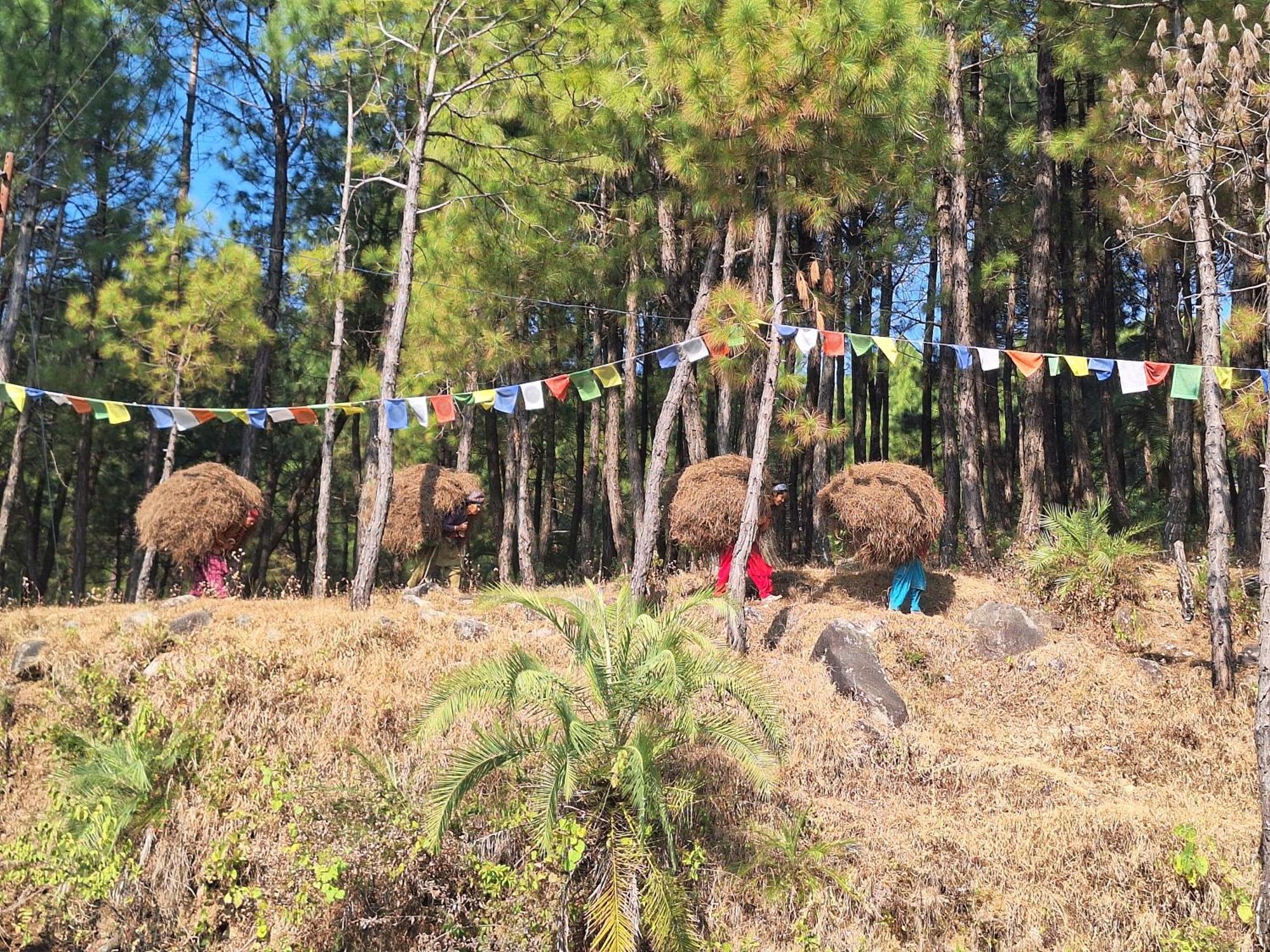 Tathastu Bir -Homestay ,Dorm,Hostel Exteriér fotografie